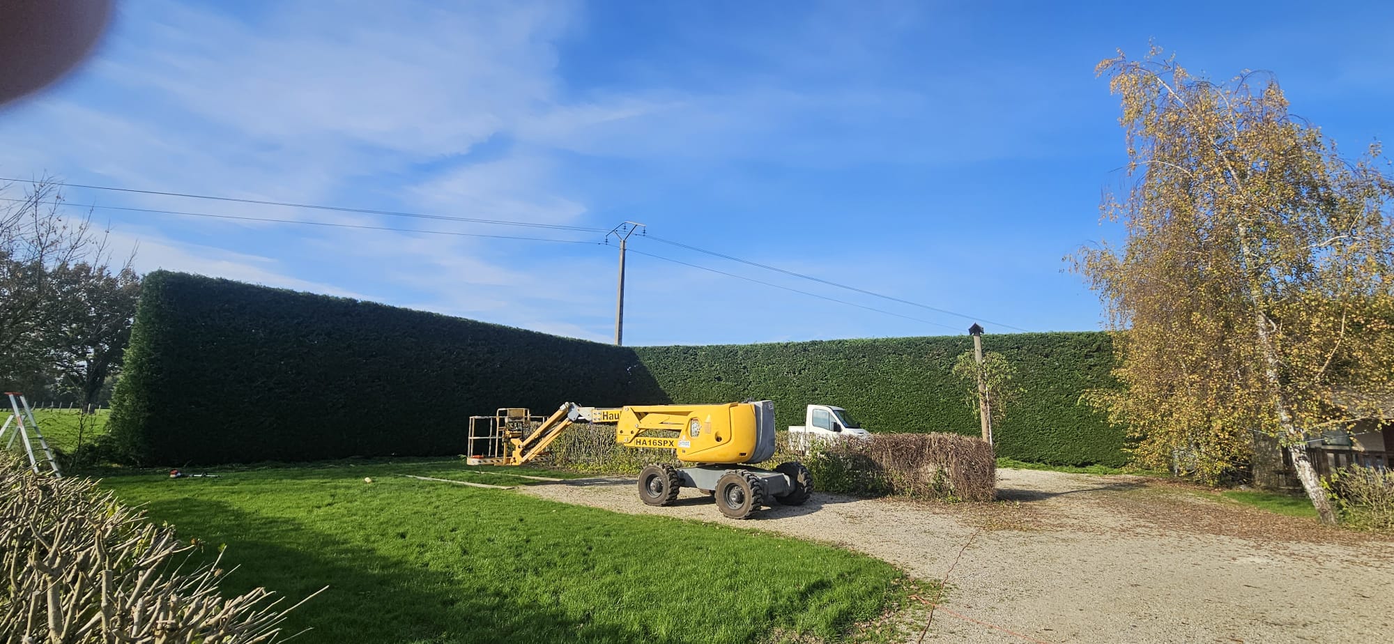 Entretien espaces verts tonte taille haies à Buellas Bourg-en-Bresse​